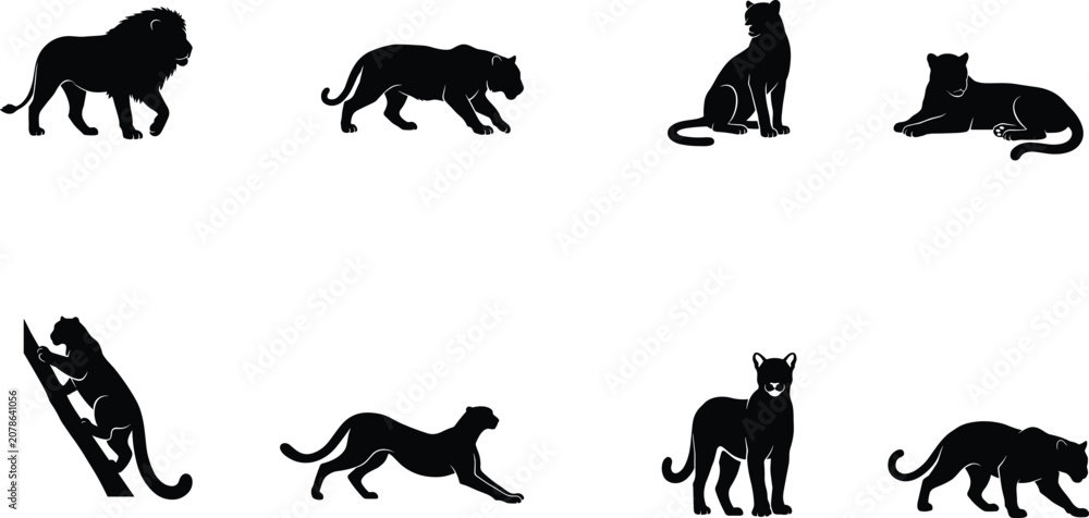 Obraz premium Big Cat Silhouette Icon Set Featuring Lion Panther Leopard Puma and Wild Feline Poses Collection