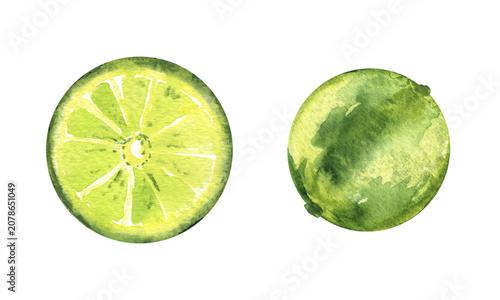 Foto Lime fruit hand drawn set, watercolor illustration isolated on white
