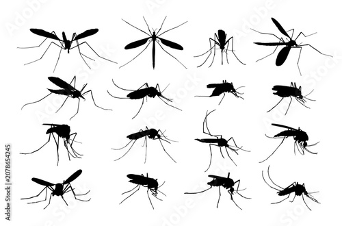 A big set silhouettes of mosquitoes.