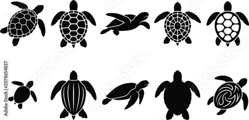 Konstfotografi sea turtle black silhouettes graphic vector icons set featuring marine tortoises