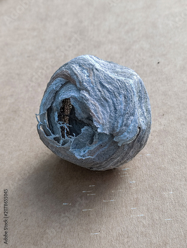 A wasp nest in the form of a ball with a hole for entry, woven from paper-like material.