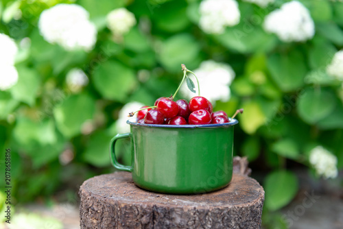 Ripe cherries in a cup