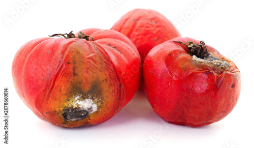 Foto Rotten Tomatoes Isolated on White Background