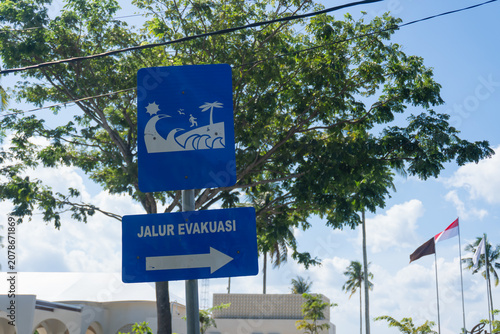 Blue sign directs to evacuation route. Trees frame the scene. Clear sky enhances visibility. Flag waves gently in breeze. Directional arrow points forward. Ideal for disaster preparedness imagery
