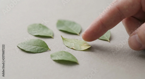 Human finger pointing at a single yellow spotted diseased leaf among healthy green leaves arranged on a grey surface