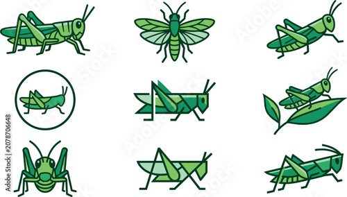 Green Grasshopper Vector Icon Set with Various Insect Poses and Mascot Designs for Nature Graphics and Biological Branding Elements