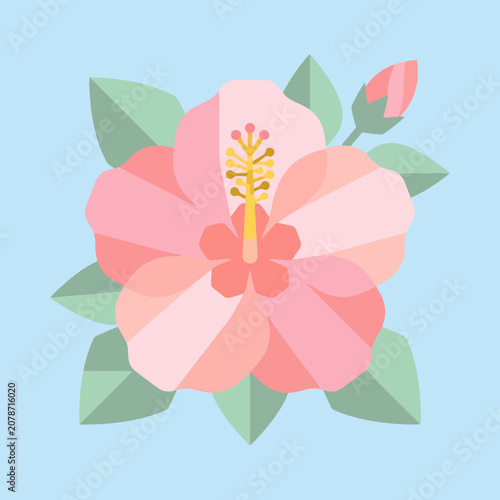 A pink hibiscus flower with green leaves on blue