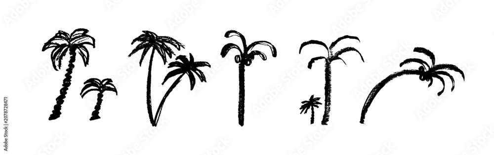 Fototapeta premium Palm tree sketch icon, coconut palm doodle illustration