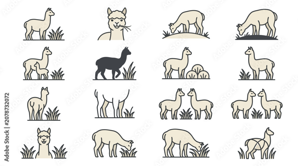 Naklejka premium Color accented llama and alpaca vector icons