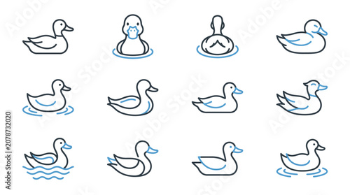 Foto Collection of domestic and wild duck icons.