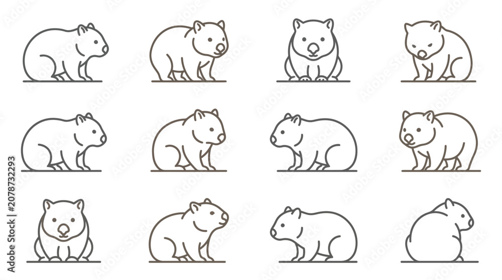 Obraz premium Detailed wombat line icon collection.