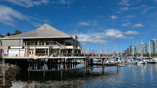 A wide landscape view of sailboats, catamarans, and luxury yachts securely moored at the docks of a marina in False Creek.