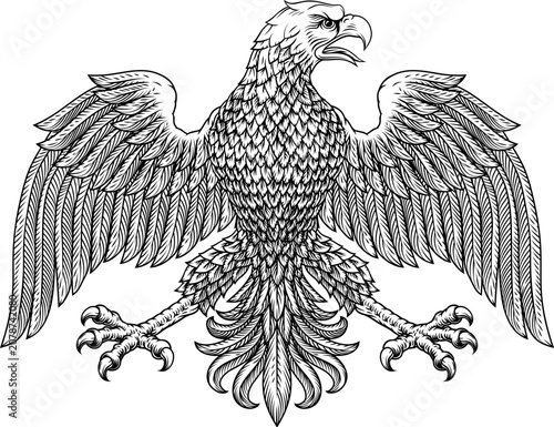 Bald Eagle Hawk Falcon Heraldic Coat Of Arms Art