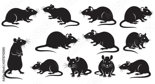 Fotografie Black rat silhouettes in various poses a vector illustration on a white backgrou