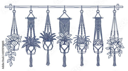 Seven macrame plant hangers with diverse indoor plants on a rod
