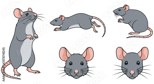 Bild auf Leinwand Gray mice illustrations in various poses on a white background