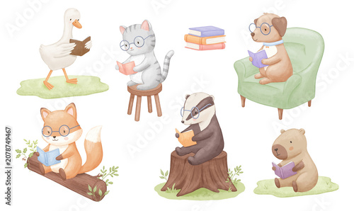 Cute animals with glasses is sitting and reading book on chair, grass, armchair and tree stump. Watercolour illustration isolated on white background, capybara and fox