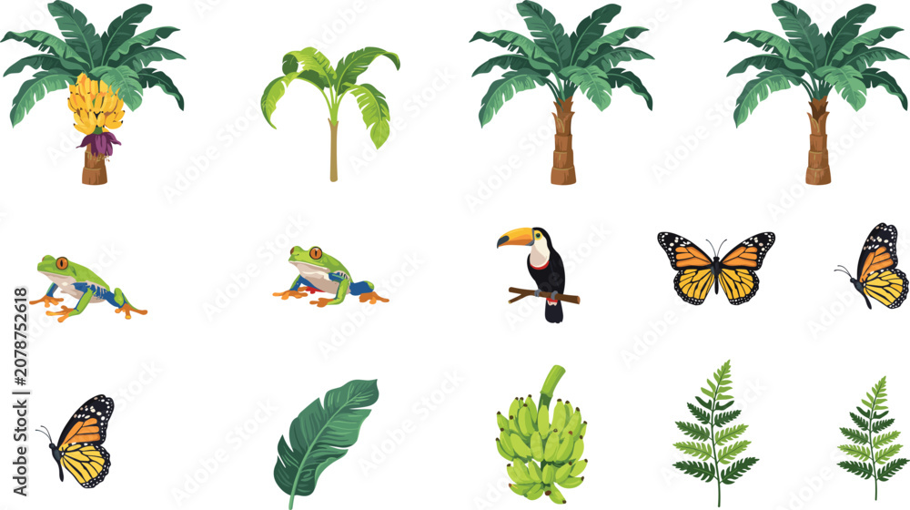 Obraz premium Tropical rainforest vector element set with banana palm trees tree frogs toucan bird monarch butterflies and jungle leaves isolated on white background
