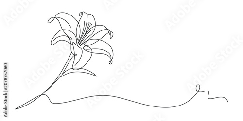 Tableau sur toile Continuous single line drawing of a beautiful lily flower