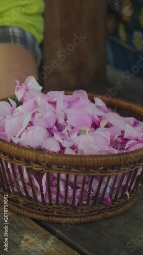 Gentle hand movement above basket of pink petals, soft blur, warm light, calm mood within rustic indoor