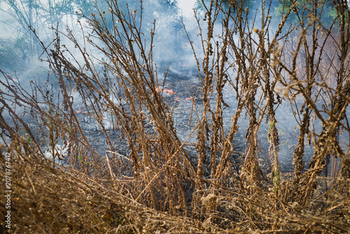 Konstfotografi Wildfire smolders through dry brush and weeds