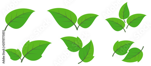 Fotografia Leaf vector symbol, leaf illustration or leaf emoji in flat style
