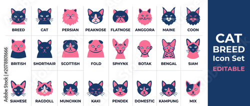Bild auf Leinwand Diverse cat breed head icon set in navy and pink color palette
