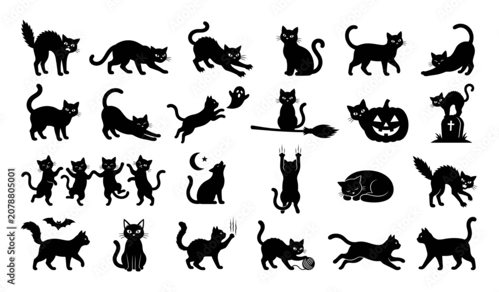 Fototapeta premium Create a premium vector collection of 24 black cat silhouettes isolated on a solid white background. Each cat has a completely unique pose including sitting, walking, stretching, arching its back, jum