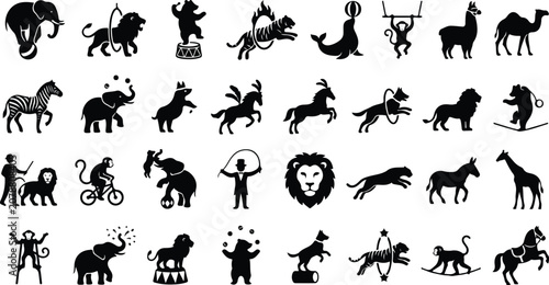 Photography Circus animal show silhouettes with trained wildlife and performers