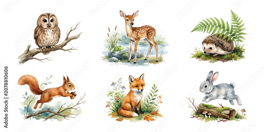 Obraz premium Watercolor Cute Woodland Animal and Forest Creature Clipart Set