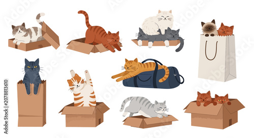 Tableau sur toile Cute cats, kittens in cardboard boxes, playful feline illustrations, vector set