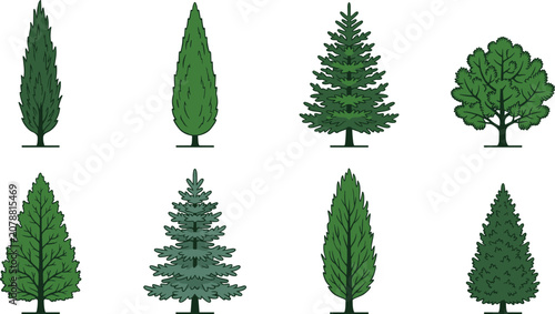 Canvastavla Evergreen and Deciduous Tree Collection with Pine Fir Cypress and Broadleaf Tree