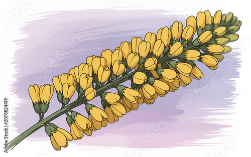 Yellow lupine flower cluster in soft pastel light with delicate botanical detail