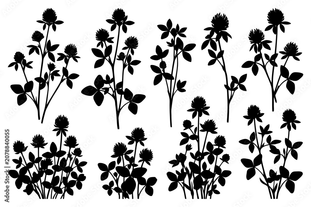Fototapeta premium Silhouette of clover flowers and leaves in various arrangements.