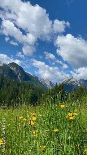 Dolomites mountain peaks overlooking idyllic Alpine meadow Italy