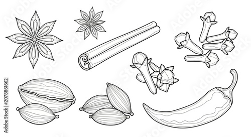 Bild auf Leinwand A collection of spice and herb illustrations.