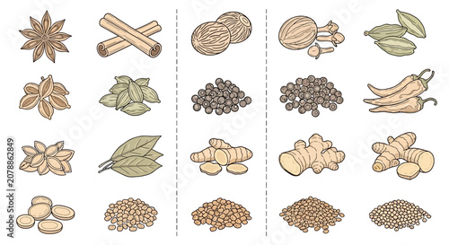 Obraz na plátně A collection of various spice and herb ingredients.