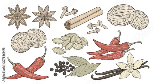 Canvas Print A collection of various spices and herbs.