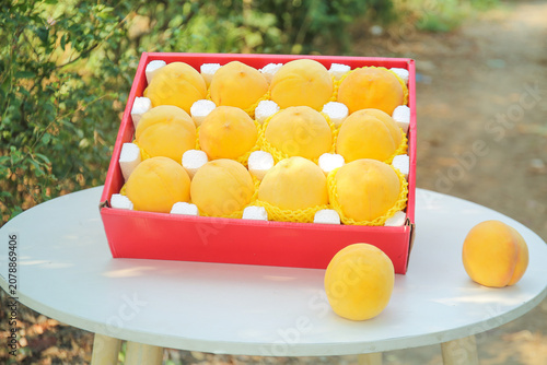 Fresh Yellow Peaches in Red Gift Box - Premium Fruit Still Life Photography