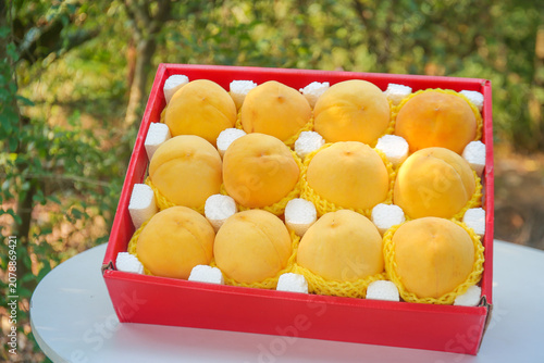 Fresh Yellow Peaches in Red Gift Box - Premium Fruit Packaging with Protective Foam