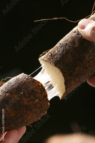 Принти на полотні Fresh Yam Root Peeling Yunnan Mountain Vegetable Traditional Food Preparation