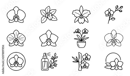 Photos Orchid blossoms vector icon set with simple bold line art classic moth orchid cy