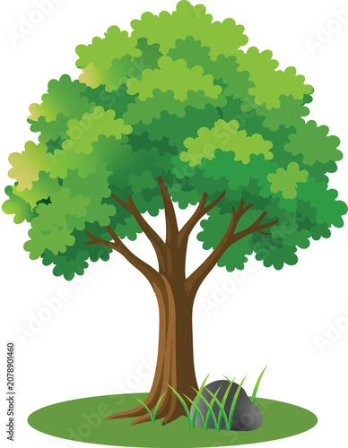 green tree with green leaves