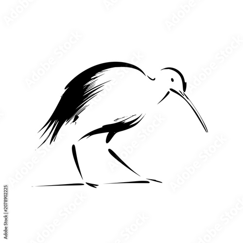 Minimalist black and white line art illustration of a shorebird with long beak for nature lovers design 100