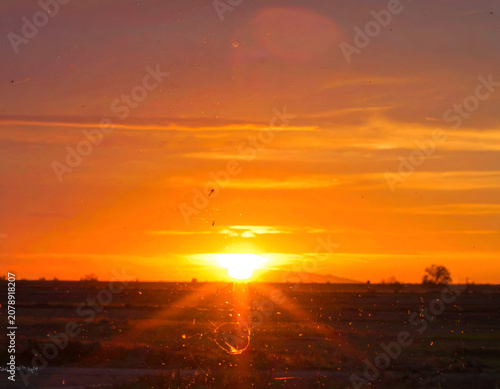Vibrant Sunset Over a Flat Horizon with Distant Tree Silhouette.
