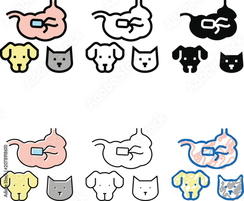 Konstfotografi salmonellosis dog variants and cat color icon vector