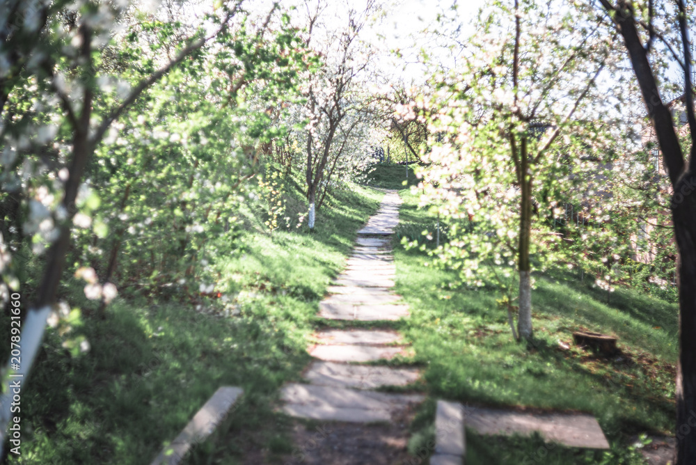 Fototapeta premium Spring evening landscape