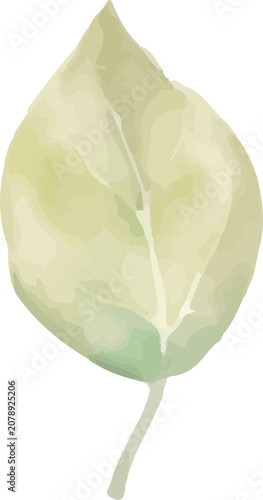 Elegant Sage Green Leaf Watercolor