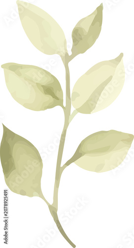 Watercolor Botanical Leaf Branch