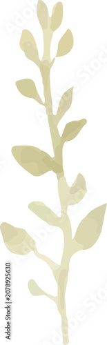 Romantic Pastel Watercolor Olive Foliage